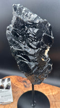 Load image into Gallery viewer, brazilian elestial morion quartz