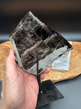 Load image into Gallery viewer, Rare Brazilian Morion Quartz Elestial | Half Polished Sacred Geometry - The7directions