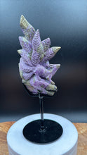 Load image into Gallery viewer, Rare Atlantisite Stichtite Serpentine Nine Tail Fox w/ custom stand - The7directions