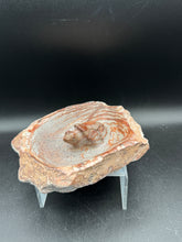Load image into Gallery viewer, Brown Serpentine Turtle Bowl | Hand-Carved Zimbabwe Stone - The7directions