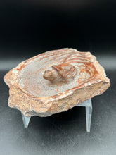 Load image into Gallery viewer, Brown Serpentine Turtle Bowl | Hand-Carved Zimbabwe Stone - The7directions