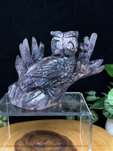 Load image into Gallery viewer, Rare Purple Mica Lepidolite Owl Carving SZ39 Emotional Balance and wisdom