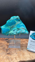 Load image into Gallery viewer, A polished turquoise and blue chrysocolla mineral specimen displayed on a clear acrylic stand on a wooden surface, with a printed card partially visible at the right.