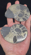 Load and play video in Gallery viewer, Large Pair of Pyritized Ammonite from Morocco Sacred Geometry Fossil ZE11 Prosperity Abundance
