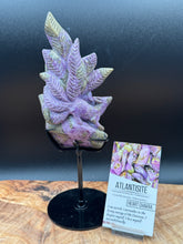 Load image into Gallery viewer, Rare Atlantisite Stichtite Serpentine Nine Tail Fox w/ custom stand - The7directions
