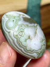 Load image into Gallery viewer, Gobi agate palm stone from Inner Mongolia ZE29 w/ crystal info card
