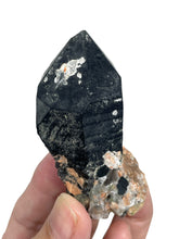 Load image into Gallery viewer, Rare Morion Black smoky quartz Point from Inner Mongolia ZF71
