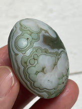 Load image into Gallery viewer, Gobi agate palm stone from Inner Mongolia ZE29 w/ crystal info card
