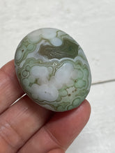 Load image into Gallery viewer, Gobi agate palm stone from Inner Mongolia ZE29 w/ crystal info card
