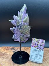 Load image into Gallery viewer, Rare Atlantisite Stichtite Serpentine Nine Tail Fox w/ custom stand - The7directions
