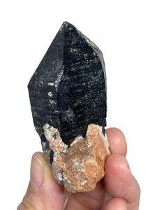 Rare Morion Black smoky quartz Point from Inner Mongolia ZF71