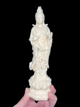 Load image into Gallery viewer, 7 3/4&quot; Carved Palm nut Goddess of Compassion Guan Yin B
