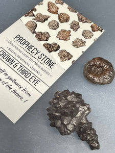 Prophecy stone with crystal info card Z26