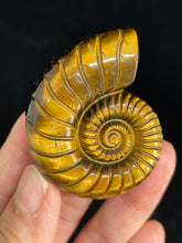 Load image into Gallery viewer, Tiger eye Ammonite carving with crystal info card ZF11
