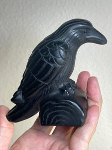 Black Obsidian Crow / Raven carving  ZF18 with crystal info card