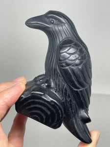 Black Obsidian Crow / Raven carving  ZF18 with crystal info card