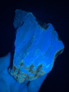 UV reactive raw Sumatra blue Amber specimen ancestor wisdom ZF20