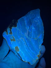Load image into Gallery viewer, UV reactive raw Sumatra blue Amber specimen ancestor wisdom ZF20
