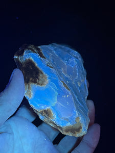 UV reactive raw Sumatra blue Amber specimen ancestor wisdom ZF20