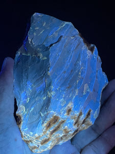 UV reactive raw Sumatra blue Amber specimen ancestor wisdom ZF20