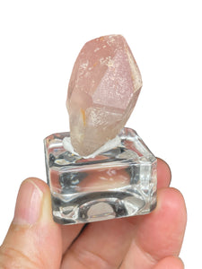 Rare raw pink Lithium quartz point ZF29 with crystal info card