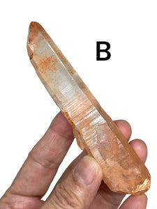 Tangerine Raw Lemurian quartz generator with crystal info card ZF73