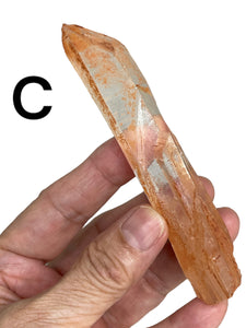 Tangerine Raw Lemurian quartz generator with crystal info card ZF73