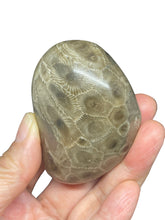 Load image into Gallery viewer, Petoskey stone intuition palm stone ZF78 with crystal info card
