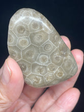 Load image into Gallery viewer, Petoskey stone intuition palm stone ZF87 with crystal info card
