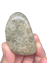 Load image into Gallery viewer, Petoskey stone intuition palm stone ZF87 with crystal info card
