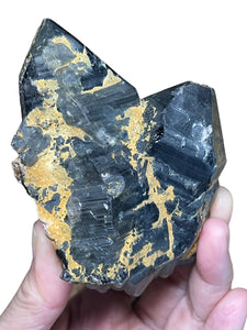 Rare Morion Black smoky quartz Point from Inner Mongolia ZB15