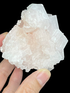 PInk Halite cluster from Trona, California with crystal info card ZB32