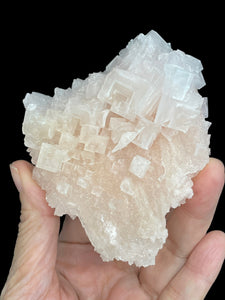 PInk Halite cluster from Trona, California with crystal info card ZB33