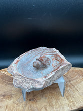 Load image into Gallery viewer, Brown Serpentine Turtle Bowl | Hand-Carved Zimbabwe Stone - The7directions

