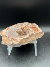Load image into Gallery viewer, Brown Serpentine Turtle Bowl | Hand-Carved Zimbabwe Stone - The7directions
