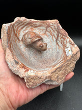 Load image into Gallery viewer, Brown Serpentine Turtle Bowl | Hand-Carved Zimbabwe Stone - The7directions
