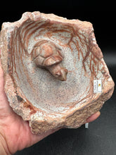 Load image into Gallery viewer, Brown Serpentine Turtle Bowl | Hand-Carved Zimbabwe Stone - The7directions
