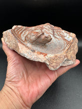 Load image into Gallery viewer, Brown Serpentine Turtle Bowl | Hand-Carved Zimbabwe Stone - The7directions
