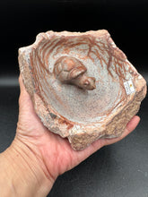 Load image into Gallery viewer, Brown Serpentine Turtle Bowl | Hand-Carved Zimbabwe Stone - The7directions
