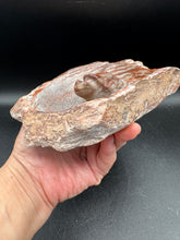 Load image into Gallery viewer, Brown Serpentine Turtle Bowl | Hand-Carved Zimbabwe Stone - The7directions
