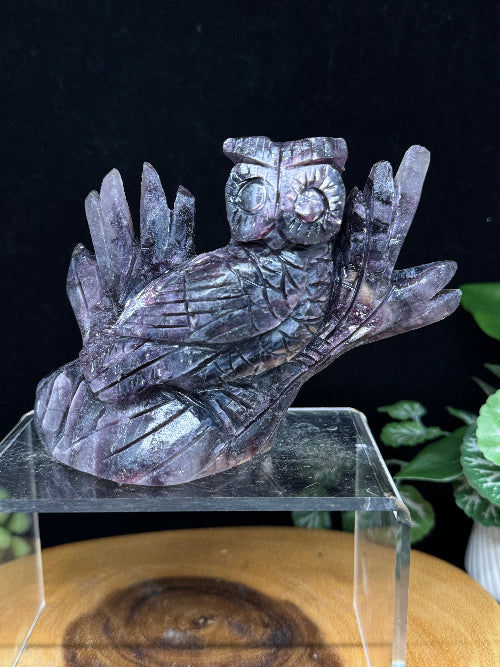 Rare Purple Mica Lepidolite Owl Carving SZ39 Emotional Balance and wisdom