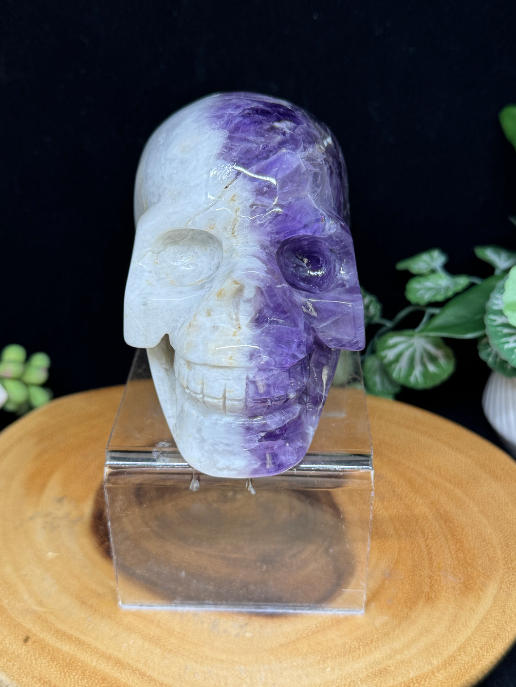 2.1 lb Incredible Yin Yang Quartz Amethyst Skull SZ63 Balance • Duality • Higher Alignment