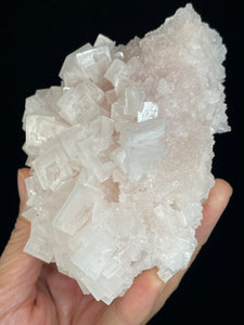 PInk Halite cluster from Trona, California with crystal info card ZB57