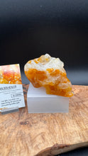 Load image into Gallery viewer, Golden Healer Skull Bowl with Crystal Info Card
