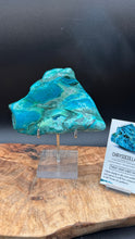 Load image into Gallery viewer, A raw turquoise-colored chrysocolla mineral specimen displayed on a clear acrylic stand on a wooden slab, with a small product card next to it against a dark background.
