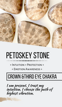 Load image into Gallery viewer, Petoskey stone intuition palm stone ZF78 with crystal info card

