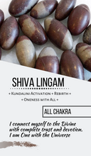Load image into Gallery viewer, Shiva Lingam carved Ganesha with crescent moon wood stand and crystal info card ZB28
