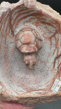 Load and play video in Gallery viewer, Brown Serpentine Turtle Bowl | Hand-Carved Zimbabwe Stone
