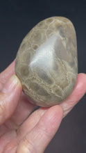 Load and play video in Gallery viewer, Petoskey stone intuition palm stone ZF78 with crystal info card
