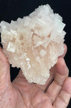 Load and play video in Gallery viewer, PInk Halite cluster from Trona, California with crystal info card ZB33
